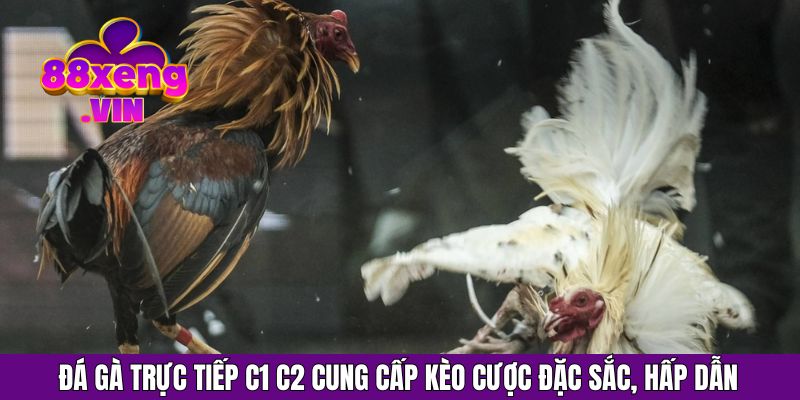 Đá gà trực tiếp c1 c2 cung cấp kèo cược đặc sắc, hấp dẫn