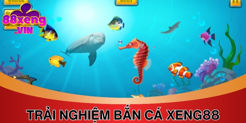 Chi tiết về cách thức đặt cược trong sảnh bắn cá Xeng88 cho newbie