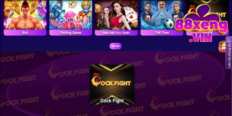 Theo dõi đá gà cực nét tại Xeng88